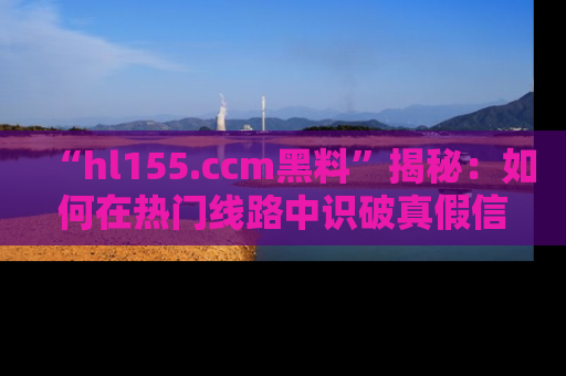 “hl155.ccm黑料”揭秘：如何在热门线路中识破真假信息