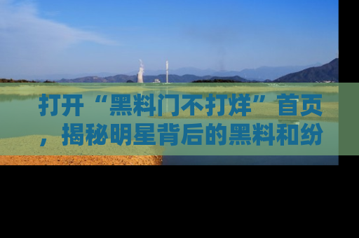 打开“黑料门不打烊”首页，揭秘明星背后的黑料和纷争真相！