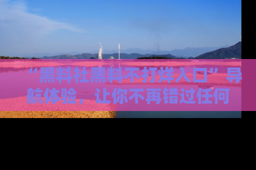 “黑料社黑料不打烊入口”导航体验，让你不再错过任何精彩黑料