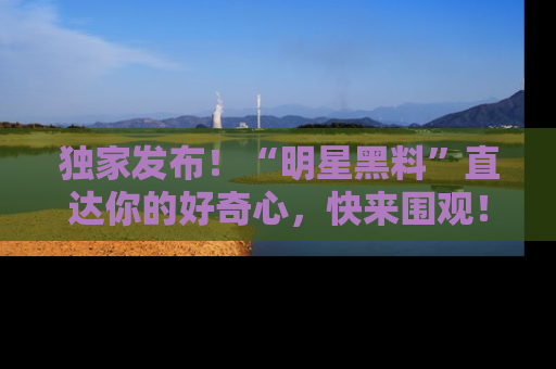 独家发布！“明星黑料”直达你的好奇心，快来围观！
