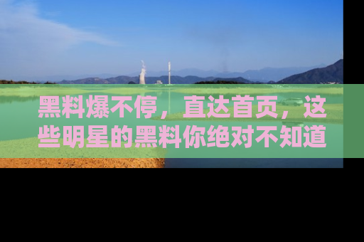 黑料爆不停，直达首页，这些明星的黑料你绝对不知道！