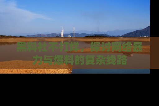 黑料社不打烊，探讨网络暴力与爆料的复杂线路
