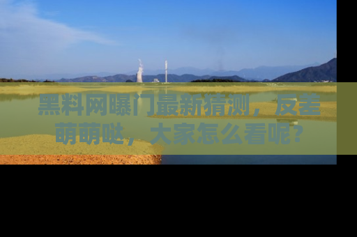 黑料网曝门最新猜测，反差萌萌哒，大家怎么看呢？
