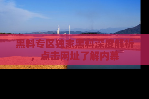 黑料专区独家黑料深度解析，点击网址了解内幕