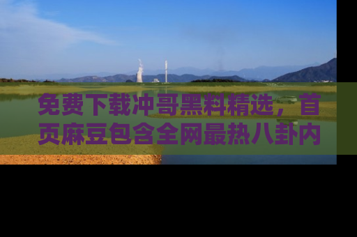 免费下载冲哥黑料精选，首页麻豆包含全网最热八卦内容
