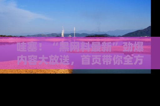 哇塞！“黑网料最新”劲爆内容大放送，首页带你全方位了解哦，小可爱们
