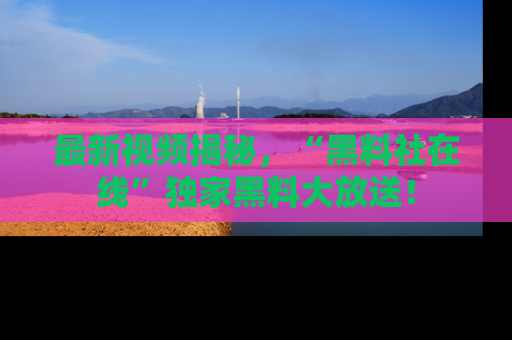 最新视频揭秘，“黑料社在线”独家黑料大放送！